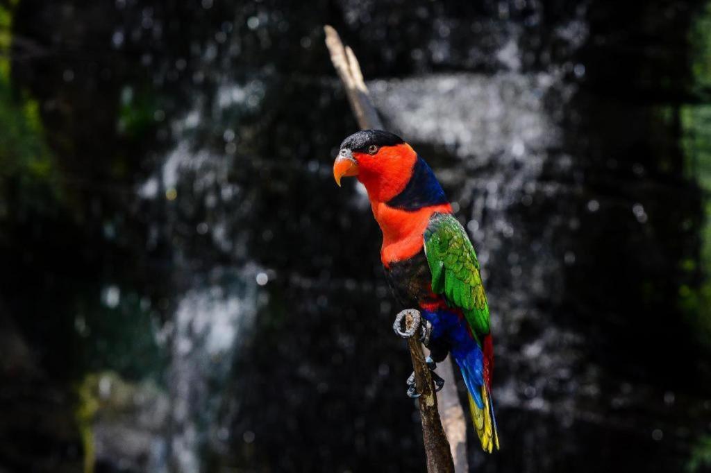 Al Abror Homestay Mandala Krida Mitra Reddoorz Jogyakarta Zewnętrze zdjęcie